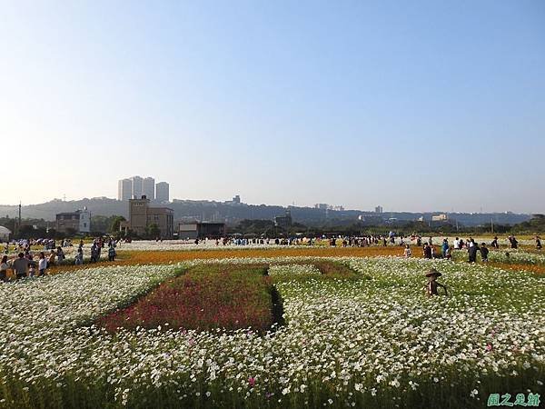 花彩節大溪場20191117(85).JPG