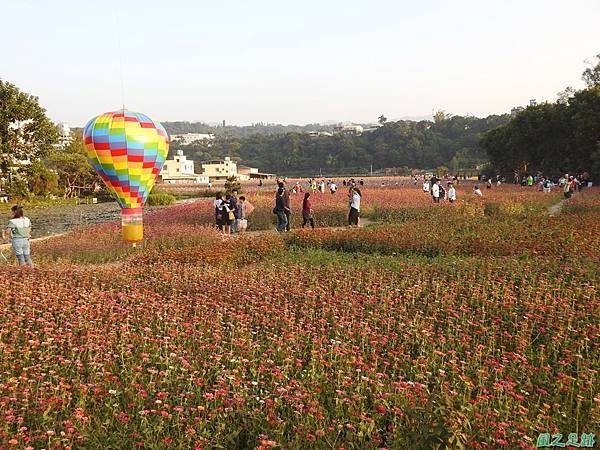 花彩節大溪場20191117(96).JPG