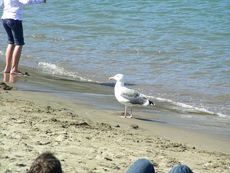DSCN2793.JPG