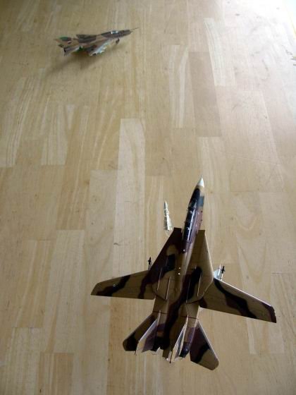 DSCN0423.JPG