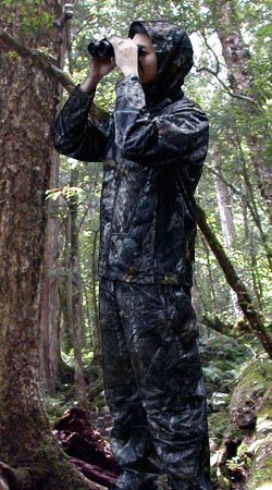 580-d.jpg