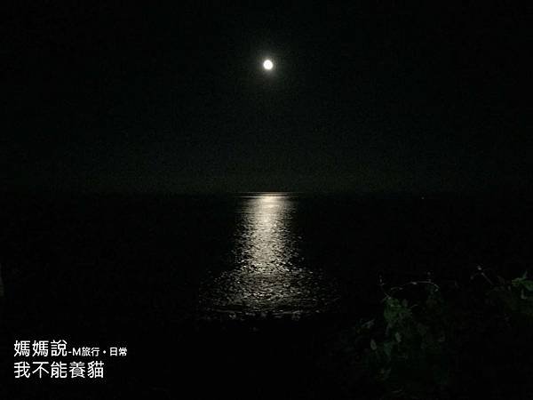 台東雲海海鮮餐廳野生龍蝦料理10.jpg