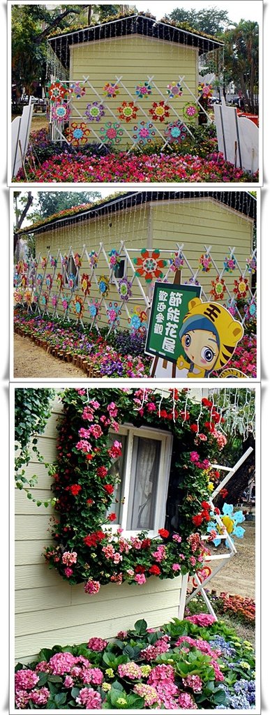 DSC01421-vert.jpg