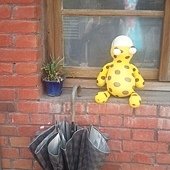 2011-07-09 10.57.38.jpg