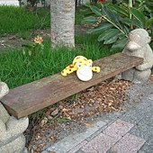 2011-07-09 12.47.08.jpg