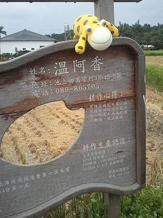 2011-07-09 13.38.43.jpg