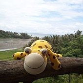 2011-07-12 11.33.55.jpg