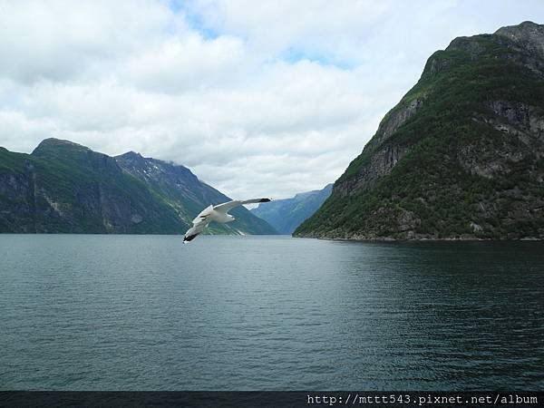 蓋倫格峽灣(Geirangerfjord )  (3).JPG