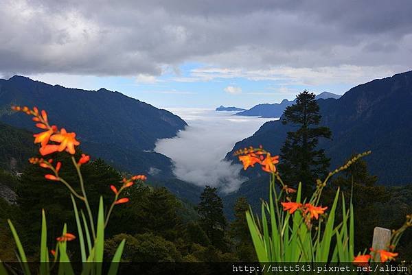 合歡山。2014~ 10 (1)