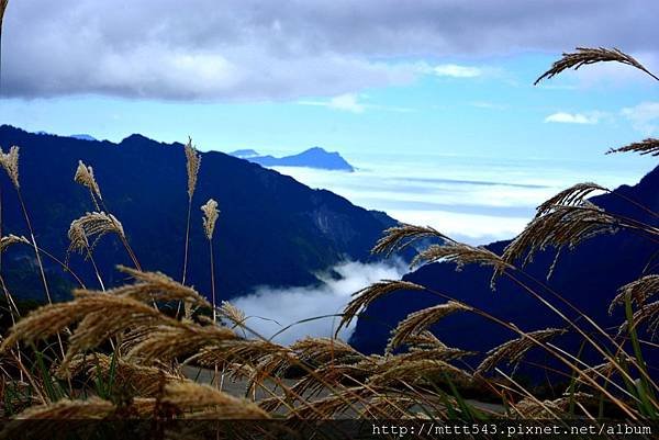 合歡山。2014~ 10 (15)