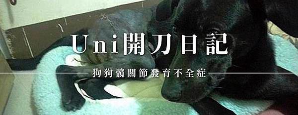 封面-Uni開刀日記.JPG