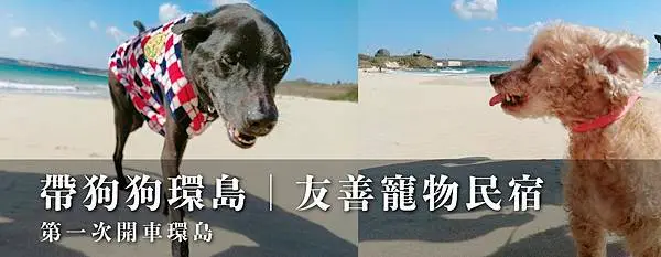 封面-狗狗環島.JPG