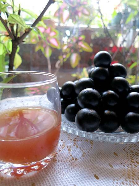 【健康養生飲食—上班族食譜】樹葡萄酒(嘉寶果)一天一小杯白藜蘆醇.紅酒多酚自己釀(早餐.輕食自己DIY)(上班族拿手菜簡易食譜) 