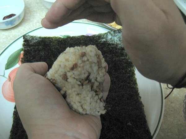 健康養生簡易飯團【飲食篇- 飯團】:逛花博~就吃自己準備的養生飯團.美麗在花海呗!!