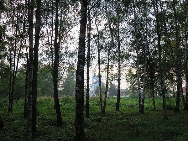 82.jpg