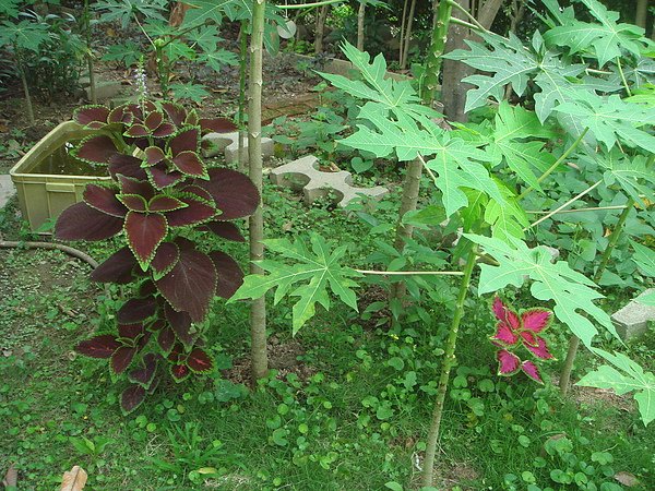 DSC03657.JPG