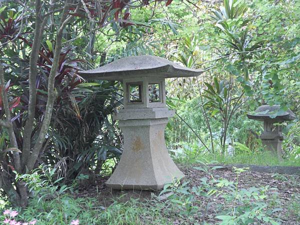 DSCN8585.JPG