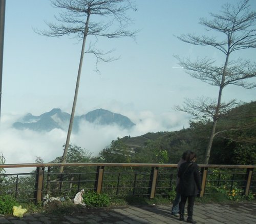 櫻花之外……