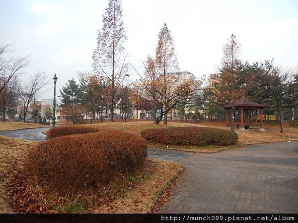 DSCN6034.JPG