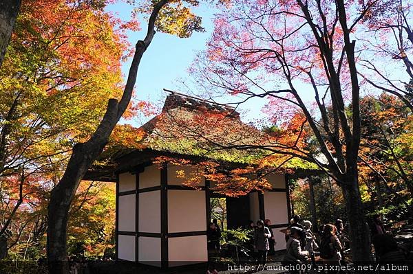 常寂光寺0027.JPG