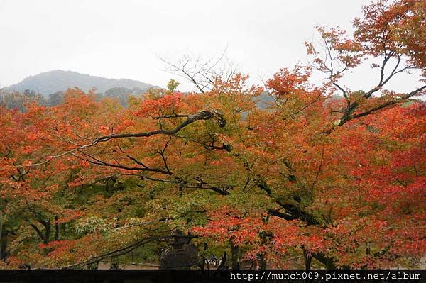 清水寺0003.JPG