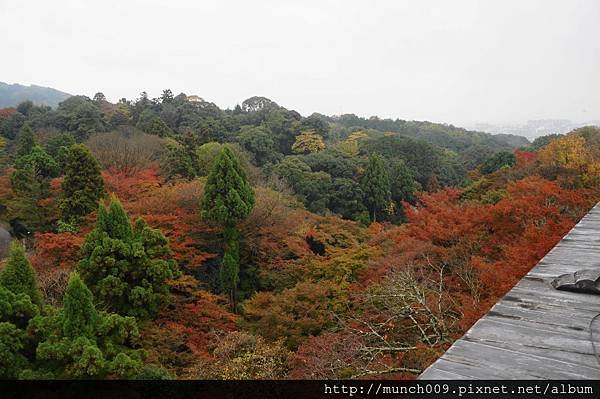 清水寺0009.JPG