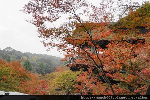 清水寺0015.JPG