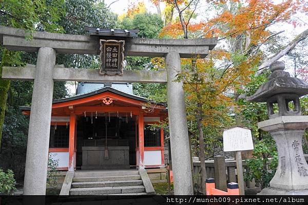 八坂神社0013.JPG