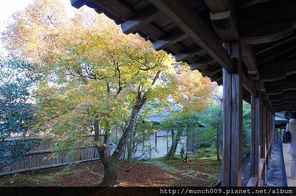 天龍寺0009.JPG