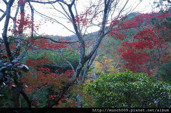 天龍寺0021.JPG