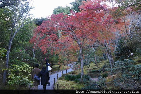 天龍寺0025.JPG