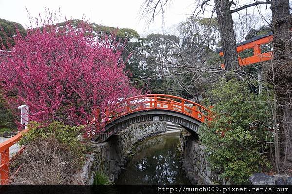 下鴨神社0016.JPG