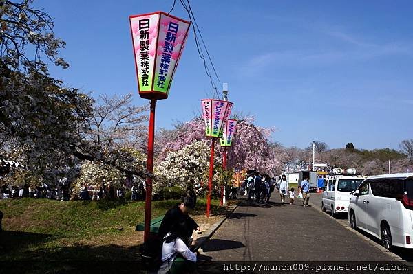 天童櫻花祭人間將棋0020.JPG