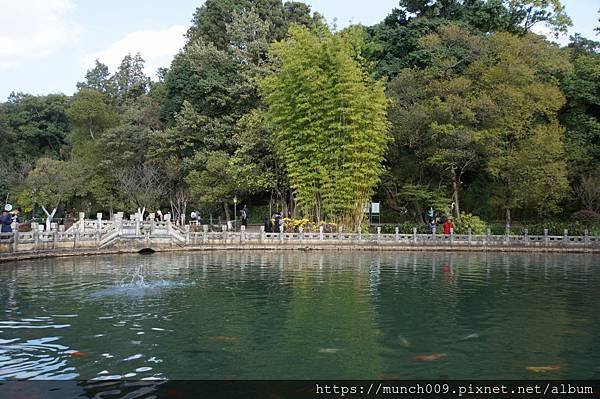 昆明黑龍潭公園0004.JPG