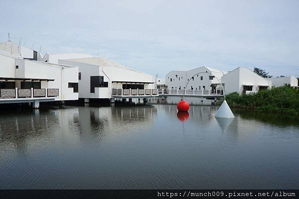 台江公園管理處四草綠色隧道0002.JPG