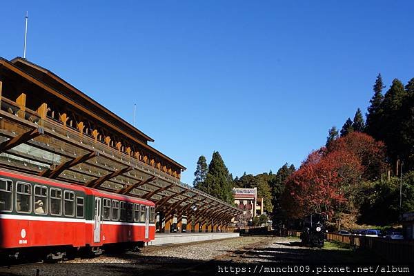 阿里山賞楓-沼平車站0003.JPG