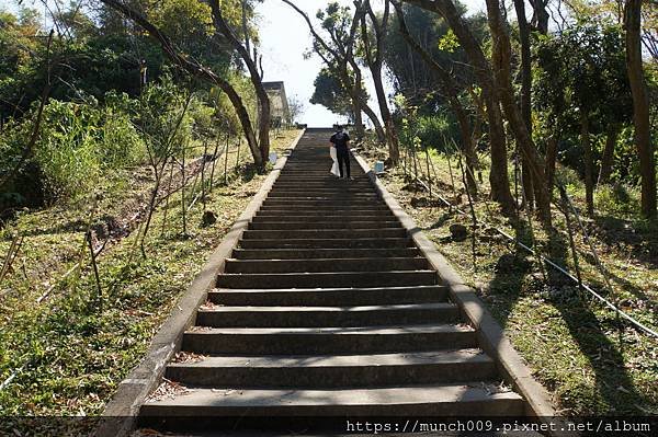 山上淨水池賞櫻0018.JPG