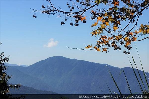 阿里山台18線賞楓0019.JPG