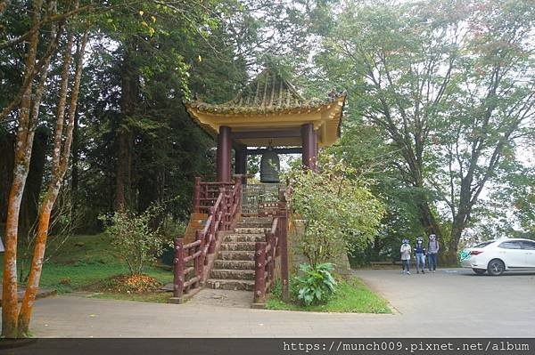 阿里山慈雲寺賞銀杏0004.JPG