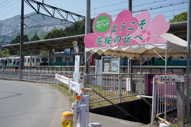 18.JPG