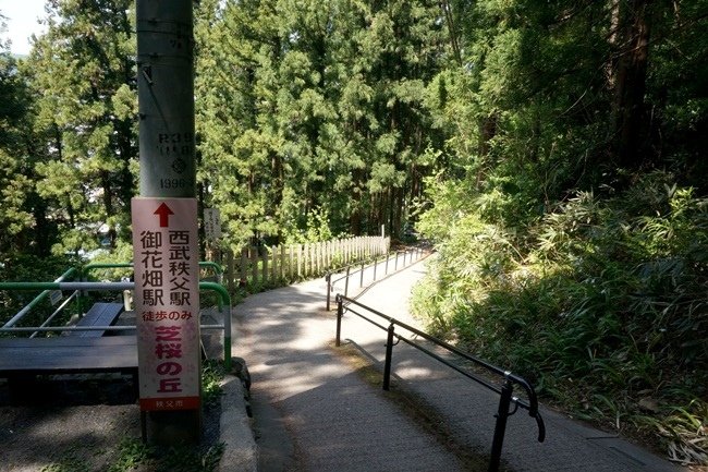 88.JPG