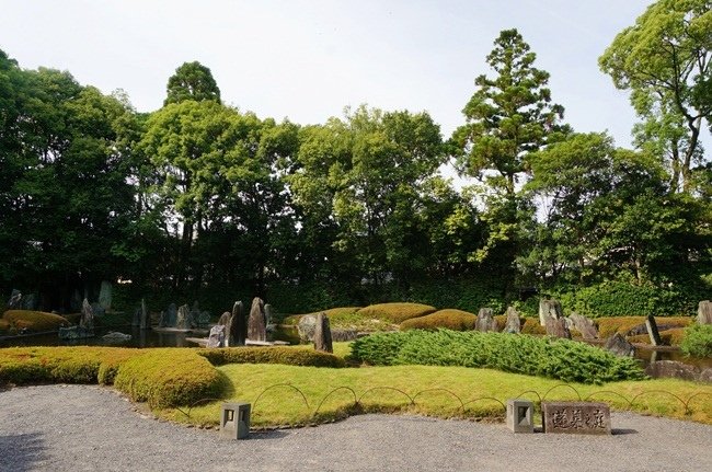 97.JPG