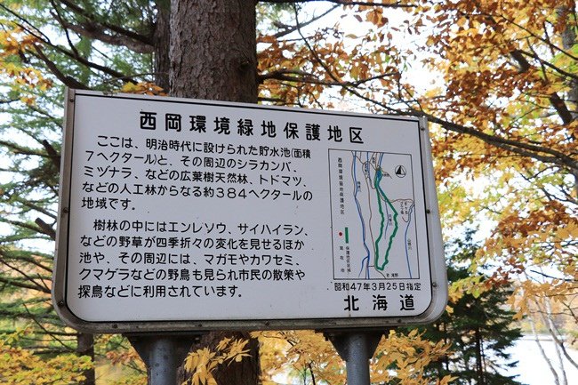 062.JPG