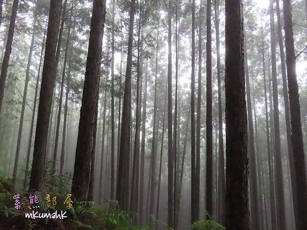 [遊記] 20231002-14 日本大阪和歌山熊野古道白濱
