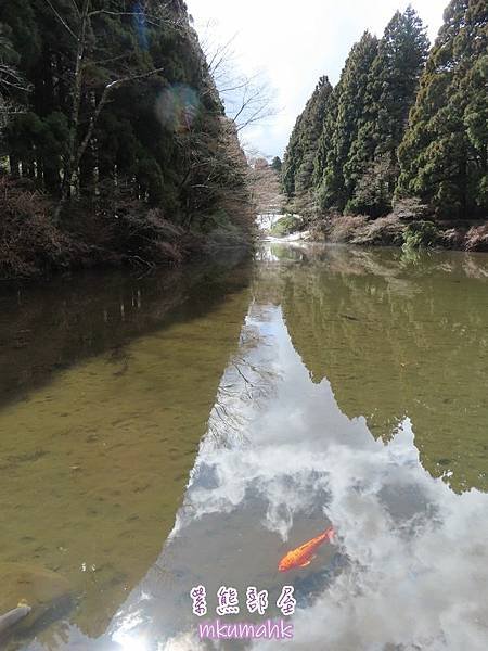 [遊記] 日本東京 ‧ 三浦海岸 ‧ 伊豆河津 ‧ 下田 ‧