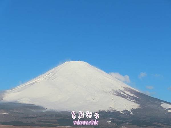 [遊記] 日本東京 ‧ 三浦海岸 ‧ 伊豆河津 ‧ 下田 ‧