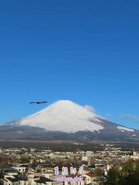 [遊記] 日本東京 ‧ 三浦海岸 ‧ 伊豆河津 ‧ 下田 ‧