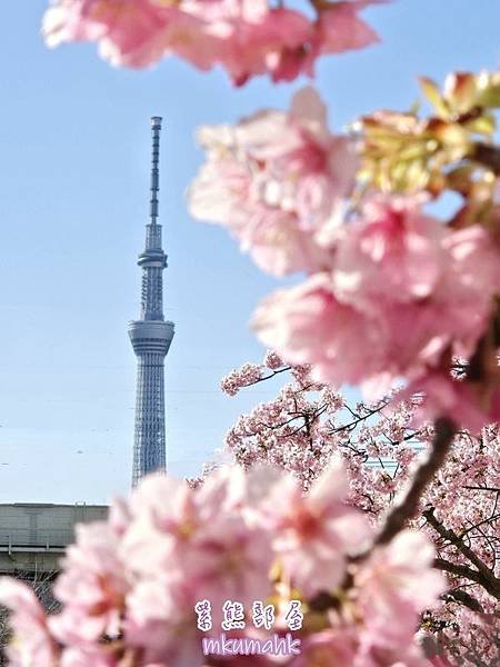 [遊記] 日本東京 ‧ 三浦海岸 ‧ 伊豆河津 ‧ 下田 ‧