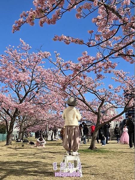 [遊記] 日本東京 ‧ 三浦海岸 ‧ 伊豆河津 ‧ 下田 ‧