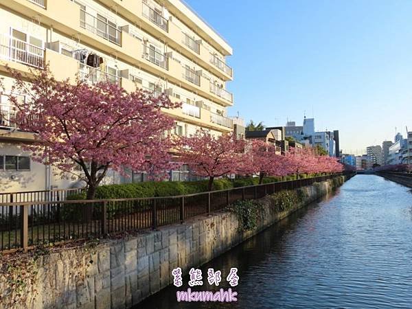 [遊記] 日本東京 ‧ 三浦海岸 ‧ 伊豆河津 ‧ 下田 ‧